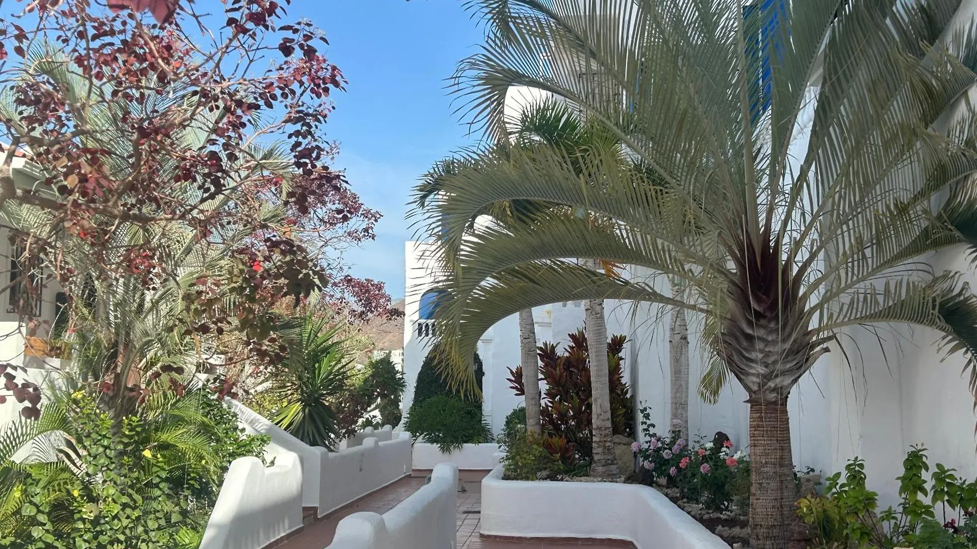 Los Cristianos Stay With Large Terrace & Heated Pool 스페인